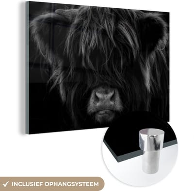 MuchoWow® Glasschilderij 120x80 cm - Schilderij acrylglas - Schotse Hooglander - Koe - Zwart - Wit - Portret - Foto op glas - Schilderijen