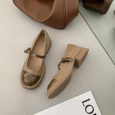 Mary Jane Schoenen met Dikke Hak Damesschoenen Nieuwe Lente Retro Ronde Neus Witte Schoenen met Middelhoge Hak Pumps Damesschoenen Platformhakken 36 gray