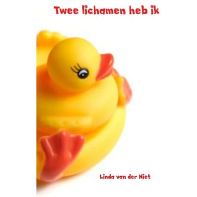 Twee Lichamen Heb Ik - Linda van der Niet