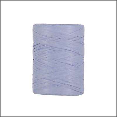 Luxe Cadeaulint - Raffia Lint - Paper Lint - Iris - 100 meter - 5mm - Hobbylint - Versierlint - Papier