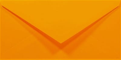 Gladde oranje enveloppen A4 - 110 x 220 mm - 50 stuks - NK natgelijmde - 80 gram - Rainbow - Netuno