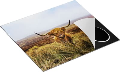 Chefcare Inductie Beschermer Groen Bos met Zonlicht - 60x50 cm - Afdekplaat Inductie - Kookplaat Beschermer - Inductie Mat