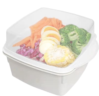 Magnetron Stoomkoker - Voedselcontainer Kom - Gezond Koken - Hittebestendig Materiaal - 16x12x10 cm - Wit