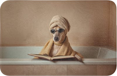 WC mat 60x40 cm - Antislip - Bad - Hond - Boek - Zonnebril - Toiletmat - Vloermat - Douchemat - Toilet tapijt - Toiletmatten