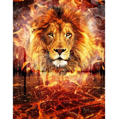 Diamant borduurwerk volledige ronde strass 5D DIY diamant schilderij kruissteek mozaïek decor thuis 20X30CM orange