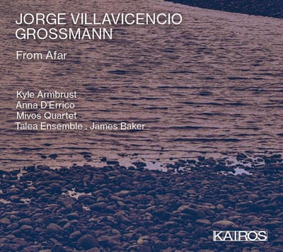 Kyle & Anna D'errico & Joshua Oxford & M Armbrust - Jorge Villavicencio Grossmann: From Afar (CD)