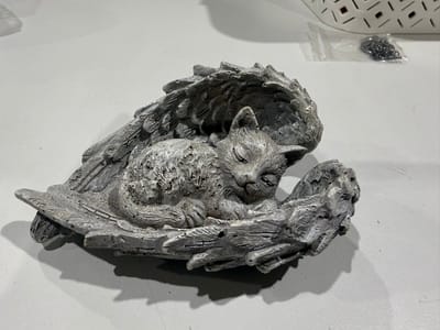 Katje/poes liggend in engelenvleugels