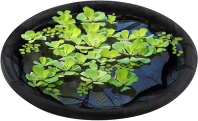Vijverplantenpot - Drijvend eiland - Vijver onderhoud - Automatisch nivellerend - 29 x 29 x 5 cm - Groen