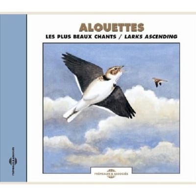 Alouettes. Les Plus Beaux Chants - Larks Ascending - Sons De La Nature