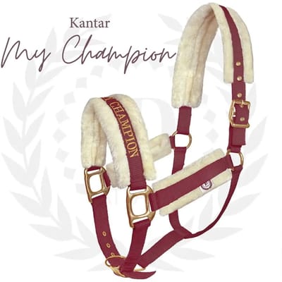 Bont halster voor paard JD Attack Halter My Champion