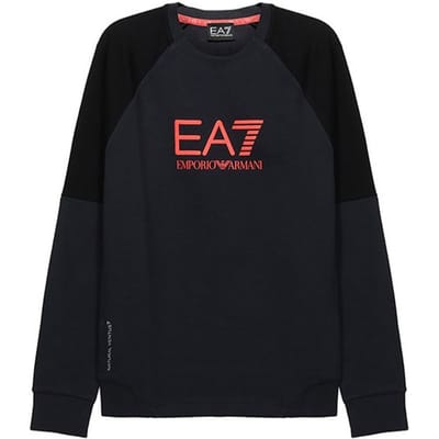 Emporio Armani Ventus7 Kleurblok Logo Ronde Hals Sweatshirt Heren sweatshirts Zwart 6KPM41-PJANZ-1578 L black