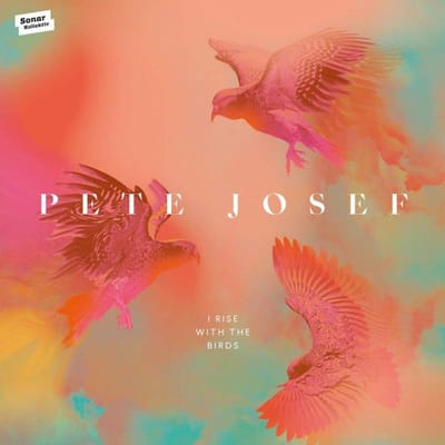 CD PETE JOSEF  I Rise With The Birds SK375CD SONAR KOLLEKTIV 2020 Japan Jazz Gebruikt