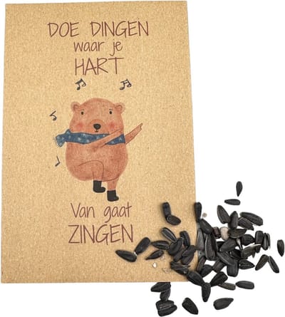 10 kraft zakjes/ Doe dingen waar je hart van gaat zingen, zonnebloemen, klein kadootje, brievenbuskadootje,vrolijk kadootje,greengift, eco,duurzaam,uitdeel zadenzakjes, zadenzakjes, weggeef zadenzakjes,bloemenzaden kadootje,zonnebloemen, biologisch,