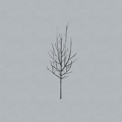 Low - Ones And Sixes (2 LP)