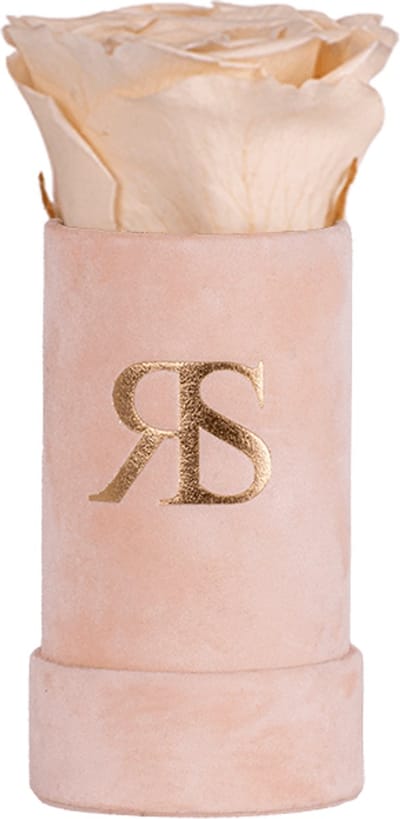 Flowerbox longlife Ivy Pure and divine - Rosuz - 3 Jaar Houdbare Roos - Klein Valentijnscadeau in Luxe Giftbox - Unieke Valentijns Verrassing