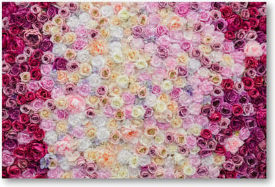 Rozenmix - 90x60 Canvas Liggend - Bloemen