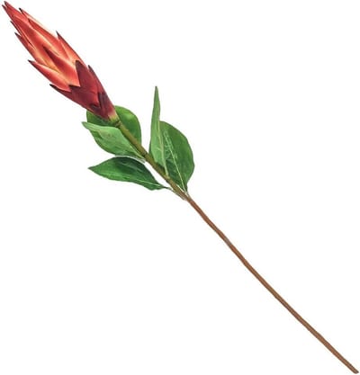 HomeBound by KY | Kunstbloem Protea oranje | kunsttak