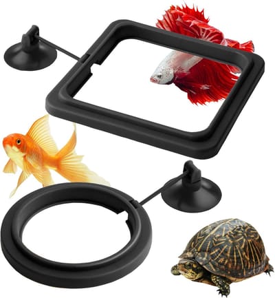 Aquarium Voederring - Drijvende Vistrainer voor Guppen, Bettas en Goudvissen - Set van 10 Stuks