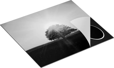 Chefcare Inductie Beschermer Zonsondergang Achter een Grote Boom - Zwart Wit - 60x50 cm - Afdekplaat Inductie - Kookplaat Beschermer - Inductie Mat