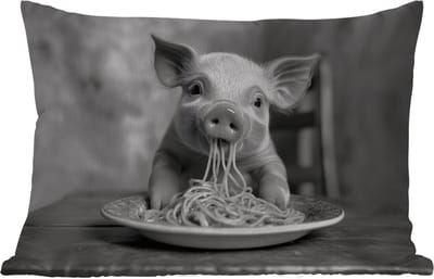 Buitenkussens - Varken - Schattig - Spaghetti - Zwart wit - Dier - 60x40 cm - Weerbestendig