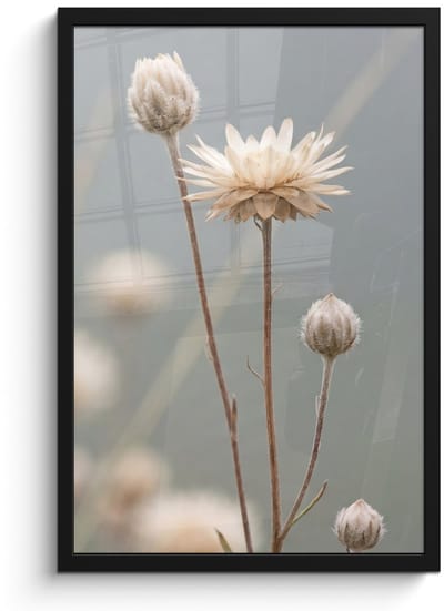 Poster in lijst - Fotolijst 40x60 cm - Posters - Strobloemen - Wit - Daglicht - Posterlijst zwart - Decoratie - Wanddecoratie woonkamer - Muurdecoratie slaapkamer