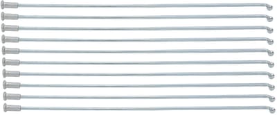 aladdien - Fietsspaken - Ondersteuning voor Velg - 13G 2.2mm - Stalen Spaken - Geschikt voor Fiets en Driewieler - 190MM
