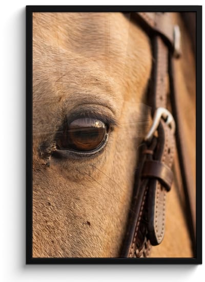 Poster in lijst - Fotolijst 60x90 cm - Posters - Paard - Oog - Bruin - Posterlijst zwart - Decoratie - Wanddecoratie woonkamer - Muurdecoratie slaapkamer