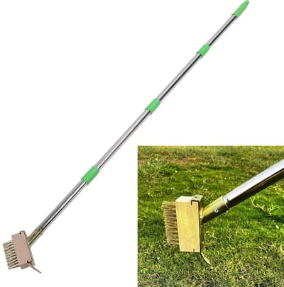 Allecto - Onkruidbestrijdingsgereedschap - Handmatige onkruidverwijderaar - Hoogwaardige efficiëntie - Lange steel - Voor bestrating en patio - Inc...