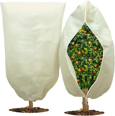 Pflanzenschutzhaube für den Winter - 120 cm x 180 cm - mit Reißverschluss & Zugband - Frostschutzvlies für Baum Palmen Balkonplanten - Beige