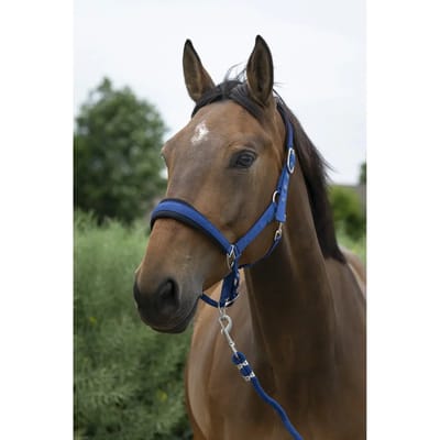 Halster en touwset voor grote paarden Norton