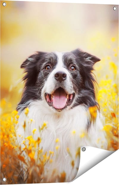 Gards Tuinposter Blije Hond tussen de Bloemen - 60x80 cm - Tuindoek - Tuindecoratie - Wanddecoratie buiten - Tuinschilderij