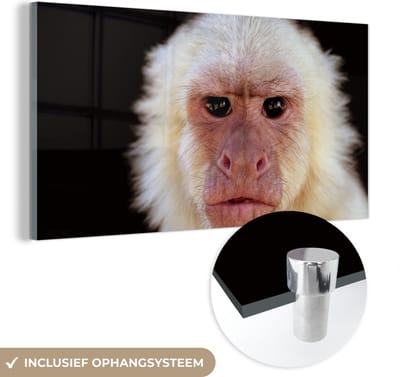 MuchoWow® Glasschilderij 40x20 cm - Schilderij acrylglas - Aap - Vacht - Zwart - Foto op glas - Schilderijen