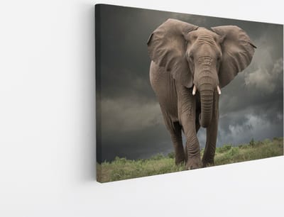 Saammp Canvas Schilderij - Olifant tijdens Storm - Afrika - Dieren - 45x30 - Foto op canvas - Wanddecoratie - muurdecoratie Woonkamer - Slaapkamer decoratie - Canvas Print