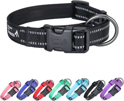 Verstelbare Reflecterende Hondenhalsband voor Kleine Honden - Comfortabel en Veilig voor Training en Hardlopen