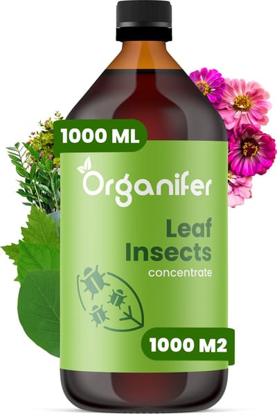 Leaf Insects Bladinsecten Concentraat (1L, 1000m2) - Bladluis – Buxusrups – Geschikt voor wolluizen, spint, anri-rupsen, bladluizen, taxuskever, witte vlieg, trips en andere bladinsecten – Organifer