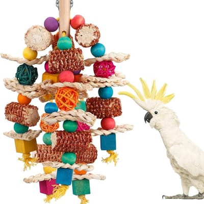 Grands jouets à mâcher pour perroquets, cage à oiseaux en bois coloré, noix de maïs naturelles, jouet pour perroquet gris d'Afrique A