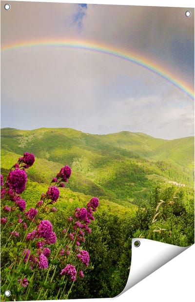 Gards Tuinposter Regenboog in de Heuvel Bossen - 60x80 cm - Tuindoek - Tuindecoratie - Wanddecoratie buiten - Tuinschilderij