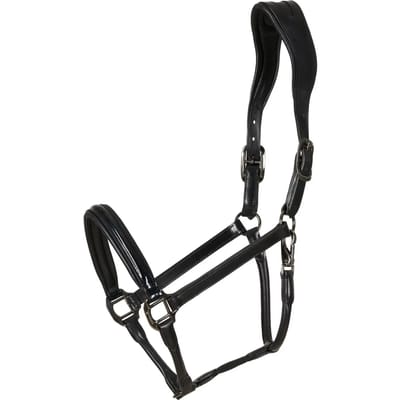 Leren halster voor paarden Catago Novi 25.1