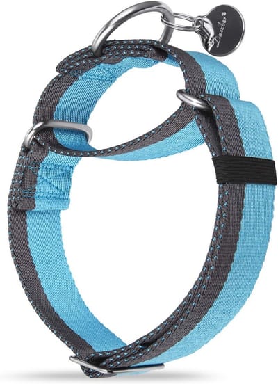 Reflecterende Heavy Duty Hondenriem - Veilig Nylon Touw voor Kleine, Middelgrote en Grote Honden - 4 cm Breed