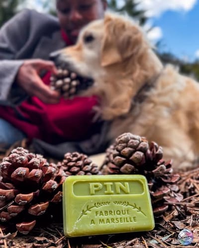 4x Savon de Marseille Zeep Pin (Dennen) – 125g – Met Karitéboter – Plantaardig & Handgemaakt – Vegan – Zeepengeurboetiek