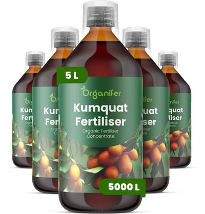 Vloeibare Meststof Voor Kumquat 5X1 L Voor 5000 L - Npk 2-1-8 - Krachtige Bloei - Vruchtvorming - Nutriëntenopname - Wortelvitaliteit - Vruchtzoetheid - Kleurintensiteit - Groenblijvend Blad - Vertakking - Droogtestress - Kuipcitrus - Organifer