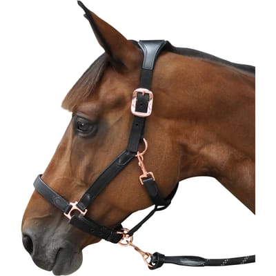 Nylon/leren halster Flags&Cup