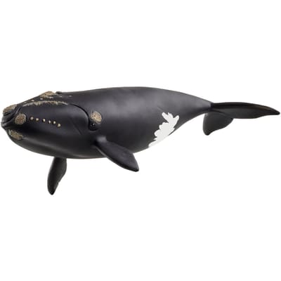 Schleich Wild Life Noordkaper speelfiguur - meerkleurig, 9,7 x 19,5 cm, 14878