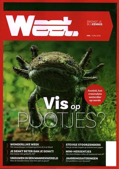 Weet Magazine - 99 2026