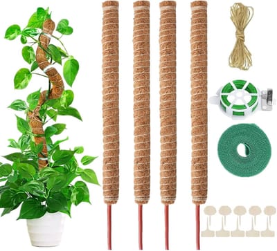 Allecto - Monstera Plantenstok - Klimhulp voor Planten - Flexibele Mosstaaf - 70 cm - Plantenondersteuning - Set van 4 Stuks - Geschikt voor Klimpl...