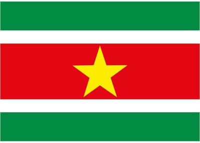 Vlag van Suriname stickers - 7.5 x 10 cm - Binnen/buiten - voor supporters