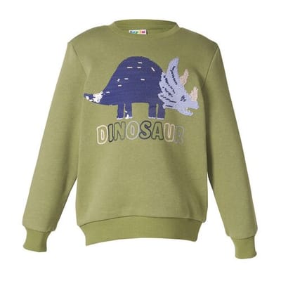 LUPILU Kinder sweater (Groen, 98/104)