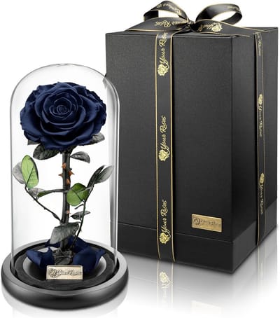 Echte Premium Roos in Glazen Koepel met Geschenkdoos - Langhoudbaar Cadeau voor Liefde en Valentijn