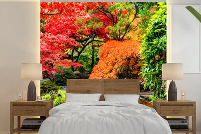 Behang - Fotobehang Bomen - Japans - Stenen - Pad - Natuur - Breedte 240 cm x hoogte 240 cm