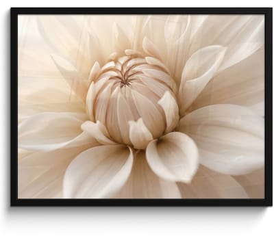 Poster in lijst - Fotolijst 80x60 cm - Posters - Bloem - Dahlia - Wit - Posterlijst zwart - Decoratie - Wanddecoratie woonkamer - Muurdecoratie slaapkamer